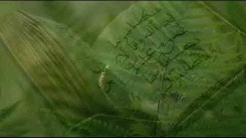 لجزء الثاني سورة البقرة من الاية ١٤٢ إلى الاية ١٥٧ القارئ عبدالباسط عبدالصمد…