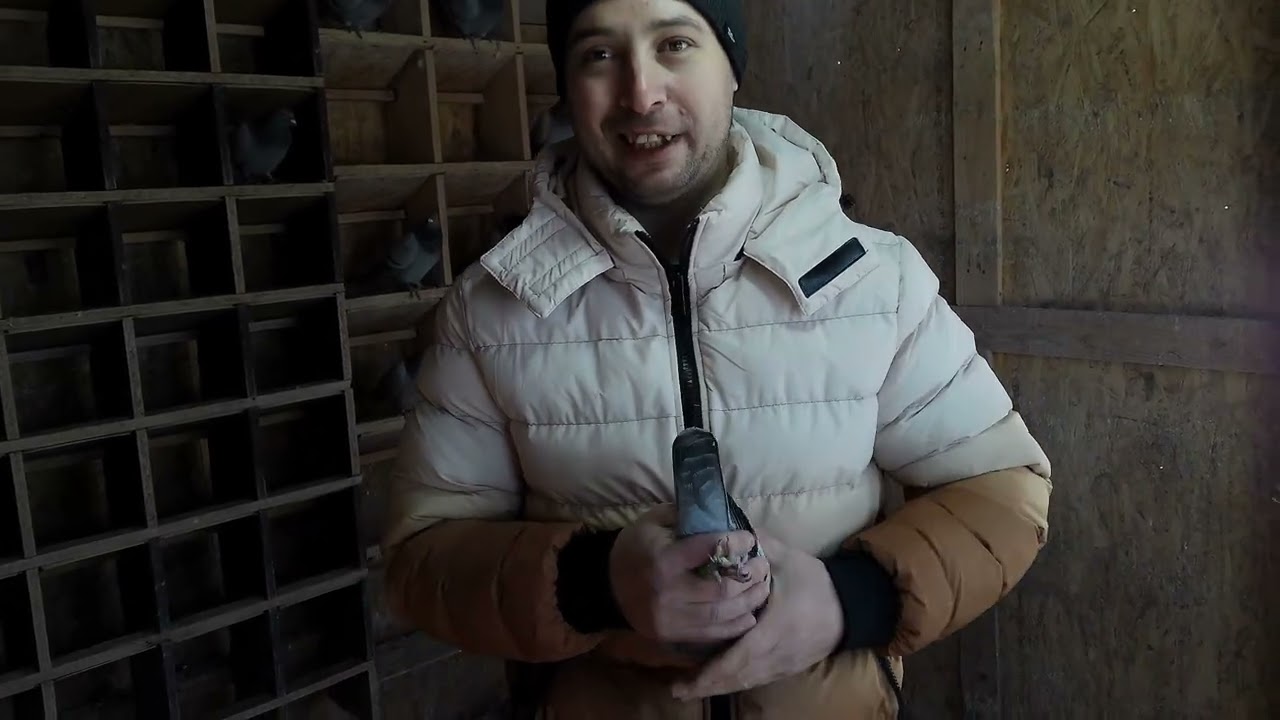 Mihai Alexandru U.C.P.R. Dambovita 17-01-2026