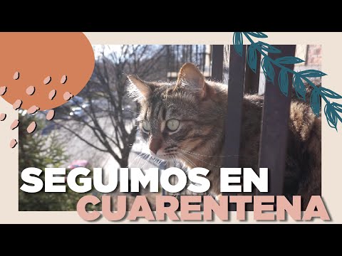 SEGUIMOS EN CUARENTENA - WEEKLY VLOGS