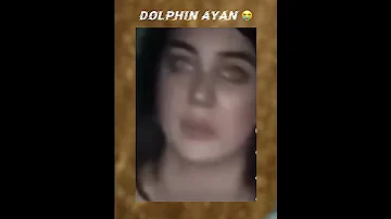 Dolphin Ayan Viralvideo Shorts Dolphin 