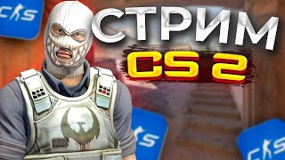 Каточку в CSочку #shorts #общение #топ #рекомендации #reels #рек