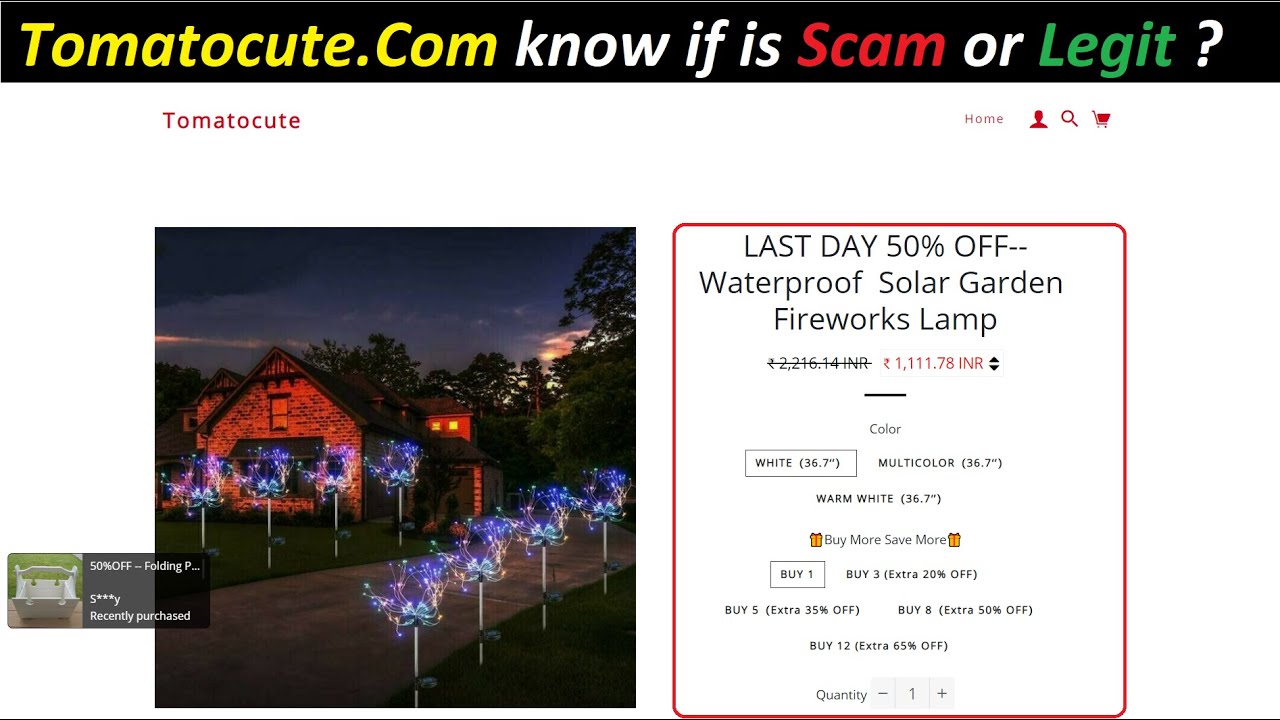 Tomato Cute ! tomatocute ! tomatocute Reviews ! tomatocute Com Reviews