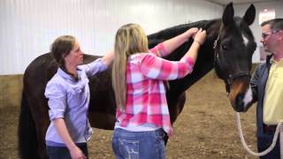 RCTC's Equine Program - Copy 4 Program Site