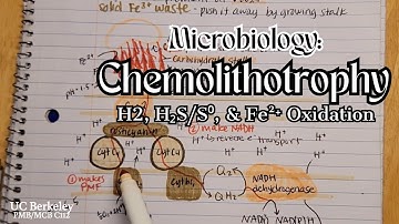 Chemolithotropy Notes