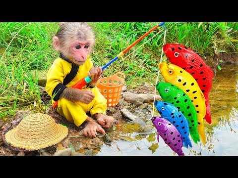 الليلة الأولى ليالي الامتحان الأخيرة ثالثة ثانوي ٢٠٢٥ مع أ محمد صلاح