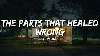 Lumina  The Parts That Healed Wrong s