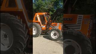 Due regine di bellezza | Fiat 580 DT & Fiat 780 DT in azione 👑🚜
