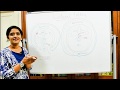 LATERAL FOLDING OF THE EMBRYO-DEVELOPMENT OF THE GIT-PART 2-DR ROSE JOSE MD