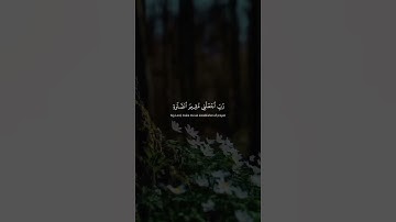 إنَّ رَبِّي لَسَمِيعُ الدُّعَاءِ   محمد صديق المنشاوي   سورة إبراهيم