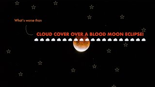 Full Blood Moon Eclipse - Hobart Tasmania - 4k Timelapse