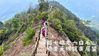 [Guguan Baimao Mountain] Baimao Mountain Climbing Tour/Great Mountain view/Overlook Dongmao Mountain