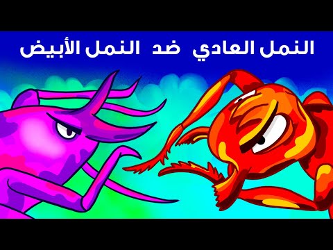 مواجهة ملحمية لا تُصدّق بين النمل العادي والنمل الأبيض!