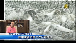 水產養殖先行者！林敏極走出虱目魚養殖台灣模式｜虱目魚｜虱 ... 