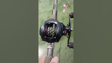 cần câu cá mập