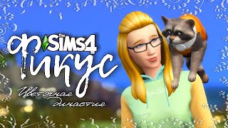 Фикус |The Sims 4| #3 Как приручить енота | Bloom Legacy Challenge