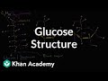 Molecular structure of glucose | Macromolecules | Biology | Khan Academy