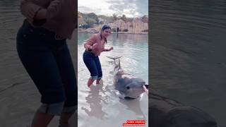Aishwarya Rajesh Playing With Dolphin Cute Video
