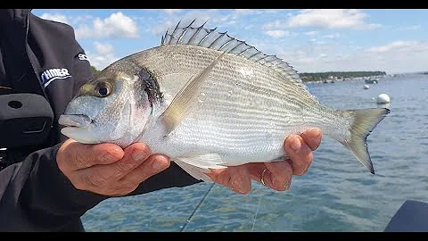 Où pêcher en bateau sur le bassin d'Arcachon ?