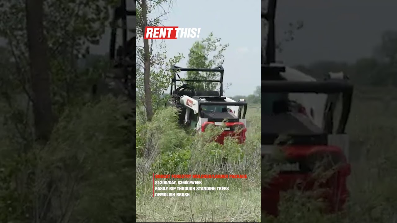 Rent this Bobcat forestry mulcher attachment with skid steer package
