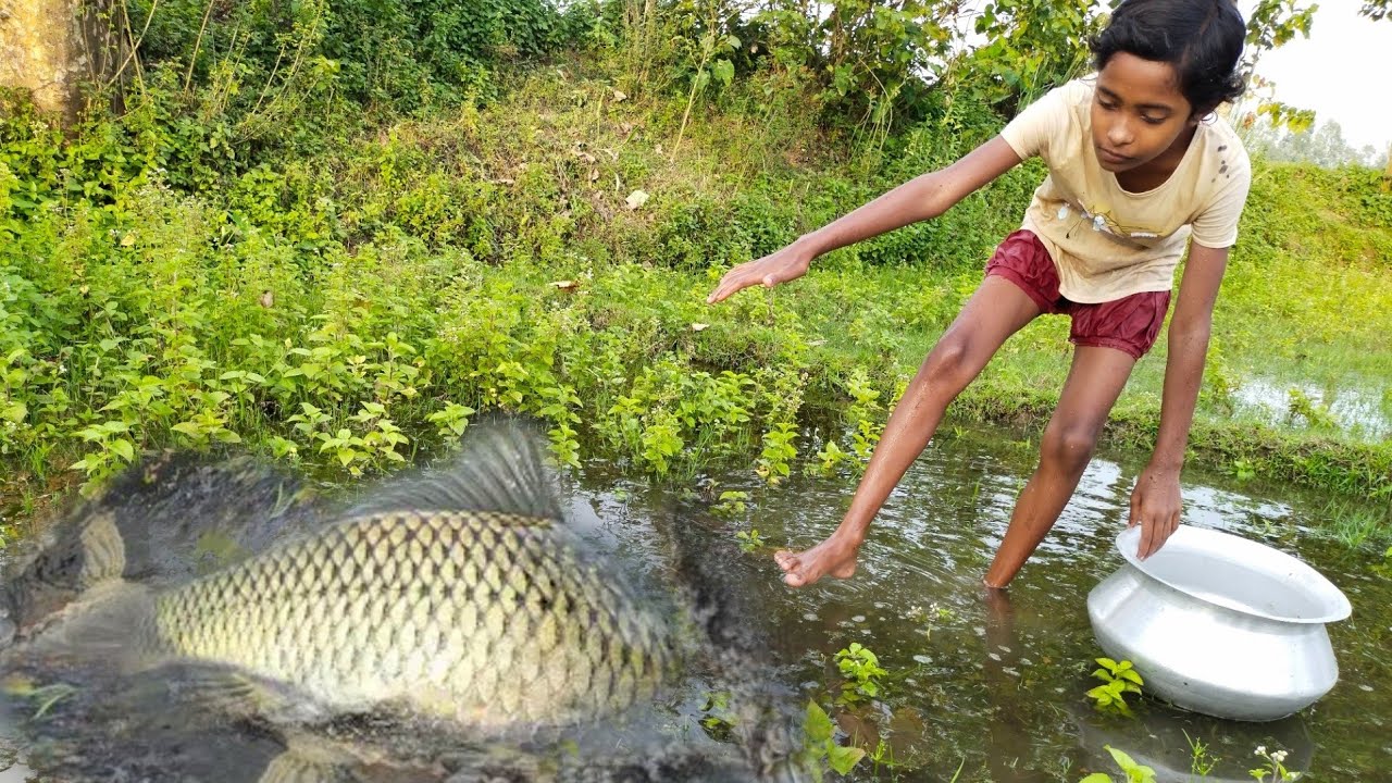 Amazing Hand Fishing| Village Girl fishing by hand| fishing video ...