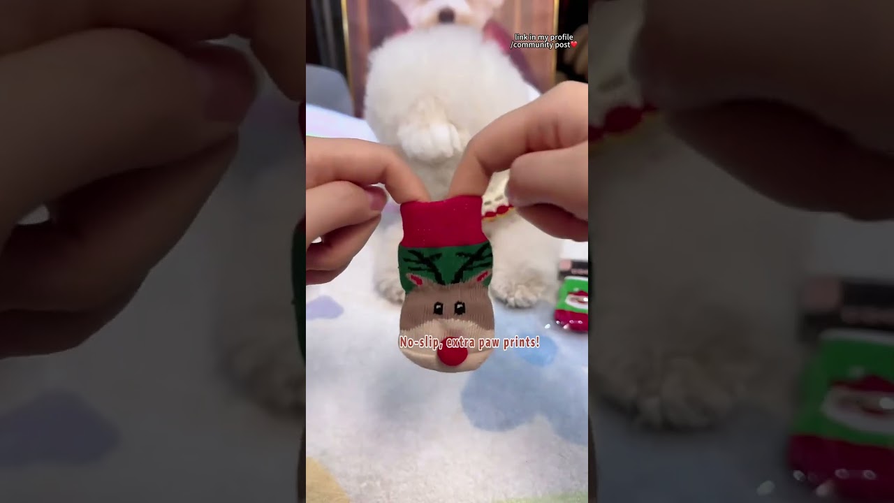 Puppy's got Christmas shoes! 🎄Super comfy, even for shoe haters!