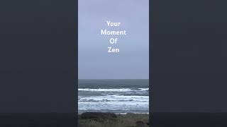 #nature #beach #surf #waves #outdoors #grass #shortvideo #new #pacific #ocean #rice #zen #happy