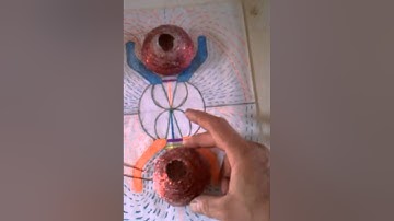 The Primer Fields Coils Tesla warden cliff magnifying Transmitter