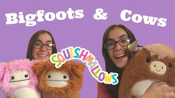 My SQUISHMALLOW Collection // COWS & BIGFOOTS