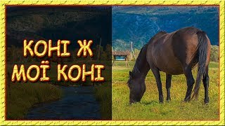 Українські пісні про кохання. Коні ж мої коні