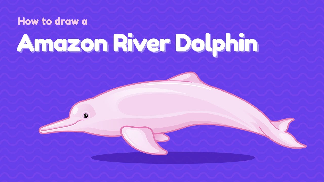 How To Draw An Amazon Pink River Dolphin Easy Drawing Animal Character Design Tutorial Youtube