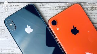 iPhone XR или X - какой взять в 2020 г.