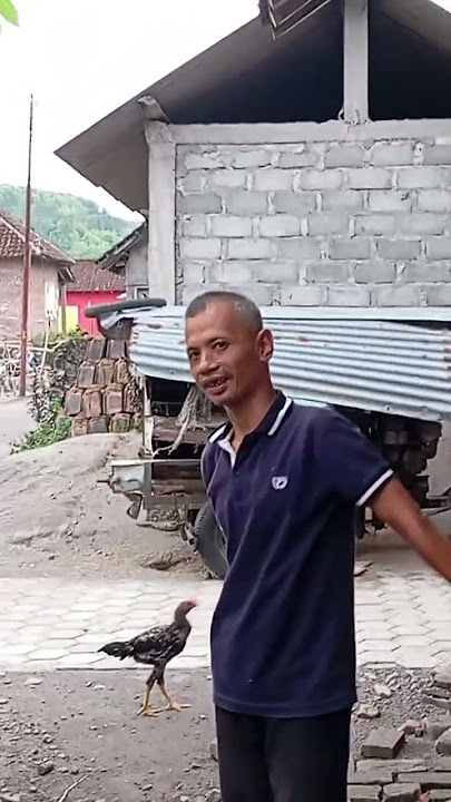 𝙠𝙖𝙣𝙜 𝙨𝙪𝙥𝙧𝙞 𝙢𝙤𝙙𝙚 𝙢𝙖𝙠𝙖𝙣𝙞 𝙥𝙞𝙩𝙞𝙚𝙠