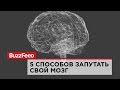 Пять способов запутать свой мозг