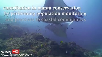 MantaWatch Internship Program 2016 - Tri Nur Sujatmiko - IPB