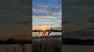 LOOK SO PRETTY. #nature #lovenature #naturetherapy #timelapse #vr180 #vrnature #vr