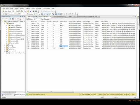 Parameterized Queries And Plan Cache Part II