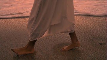 041 翩若惊鸿，宛若游龙｜小甲鱼—零基础入门学习 Web 开发（HTML5 & CSS3）