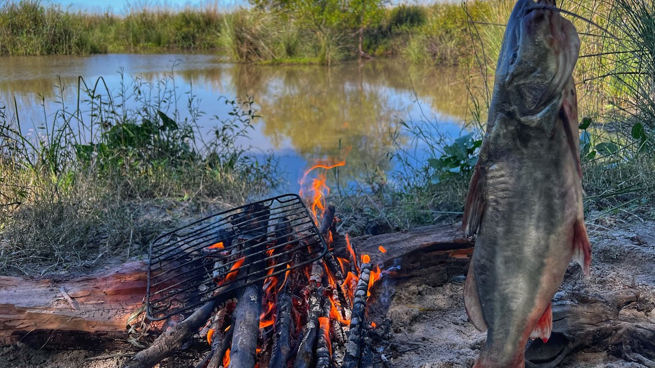 BAGRE GIGANTE, exploración, laguna, naturaleza “Pesca y Cocina“ pescado a las brasas