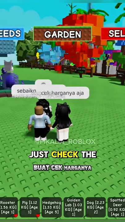 CARA DAPAT BUAH MAHAL DI GROW A GARDEN. #roblox #growagarden
