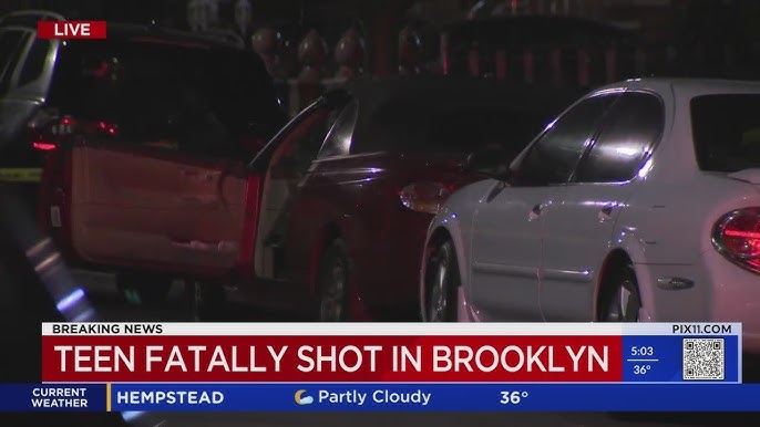 Man Shot To Death While Sitting In Car In Brooklyn Black Vehicle Sought Nypd