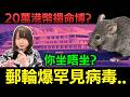 國際新聞 | 南極郵輪之旅疑似爆漢坦病毒？其實隻船去邊度？幾錢一個人？洪迪厄斯號 #廣東話 #旅行 #郵輪 #新聞