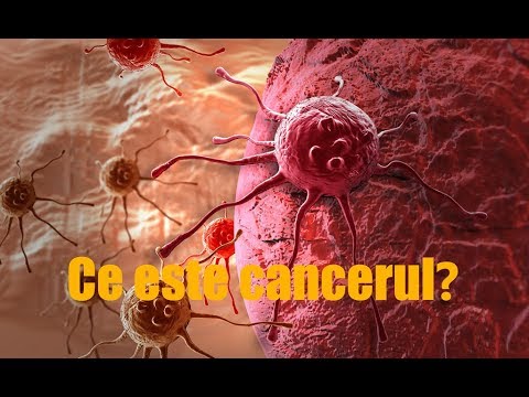 Video: Mecanismele De Reprogramare Rapidă A Celulelor Canceroase Inițiate De Către Inhibitorii țintați Tirozin Kinazei Receptorilor Vizați și Vulnerabilitățile Terapeutice Inerente