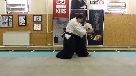 aihanmi katatedori shihonage ura [TUTORIAL] Aikido empty hand basic technique