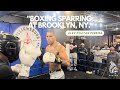 Boxing sparring in brooklyn ny  alex poatan pereira