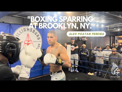 Boxing sparring in Brooklyn, NY | Alex Poatan Pereira