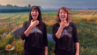 Lilla Snigel Med Sign Up