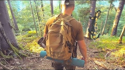 24 ORE IN UNA FORESTA - SENZA CIBO