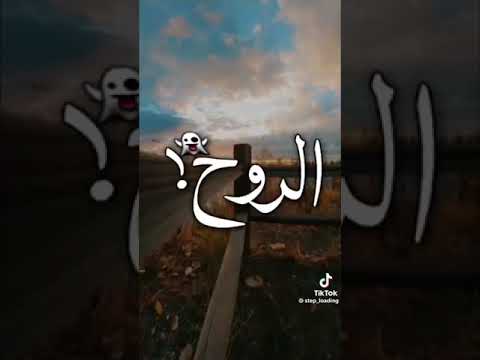 اغنيه روحا جميلا بصراحه تحب
