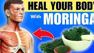 Moringa Powder/Benefits of Moringa powder/HOW to consume it with food,NEED to know this