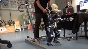 QP-based whole body controller on the icub robot